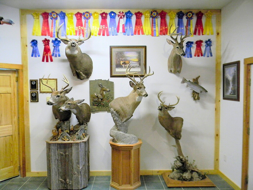 Deer Taxidermy Pennsylvania